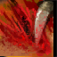 Bloody Inspiration icon.png