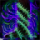 Paralyzing Nightmares icon.png